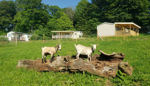 Mini-farm - 5