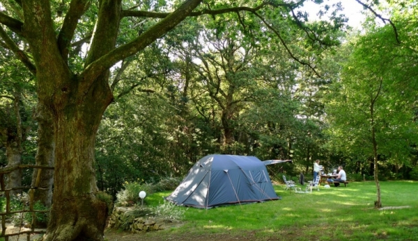 The campsite - 183