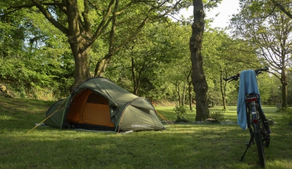 The campsite - 3