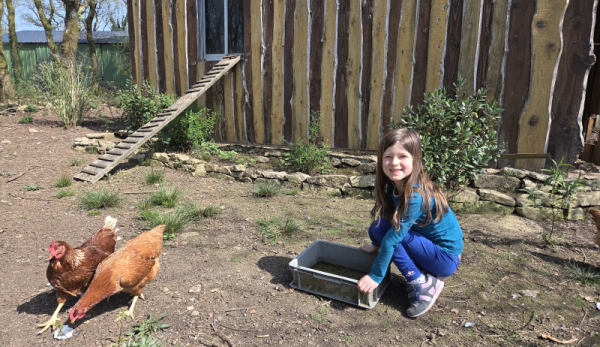 Mini-farm - 1